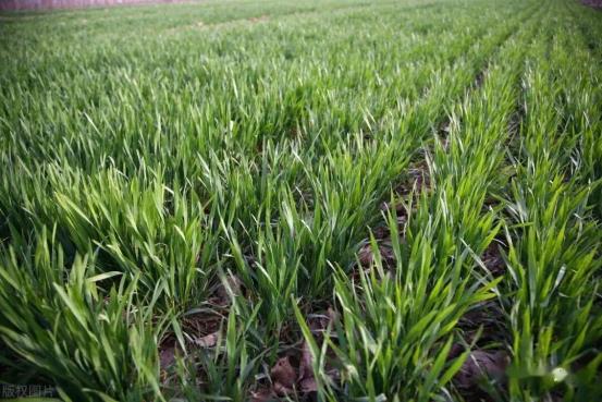 08b4b964-e98d-4dd6-8615-add033796a59