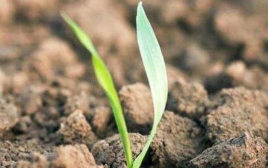 d1783a32-20d0-4929-bb4d-b9f31d2051e0