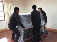 案例展示-6