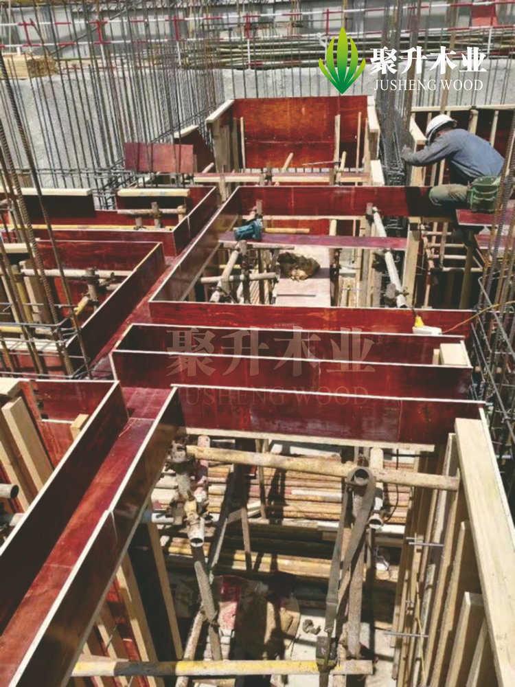 image-20241209161022-1