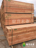 image-20241209161722-1