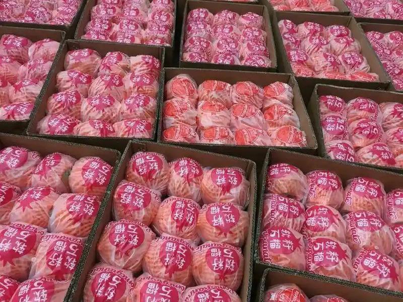石榴冻库储存