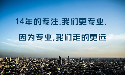 专注专业