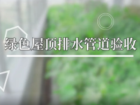 市海绵城海绵型绿色屋顶宣介（未来大厦项