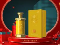 案例图片