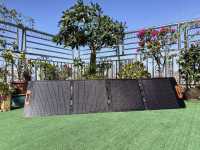 IMG_20241127_132010