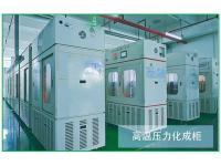 高温压力化成柜