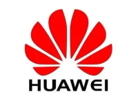 图片10