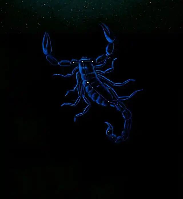 背叛欺骗（包括善意的隐瞒）
