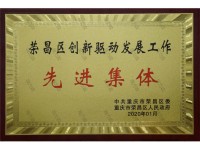 荣昌区先进集体