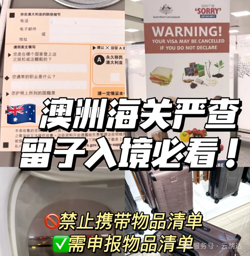 未命名1745824874.png