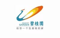 碧桂园集团