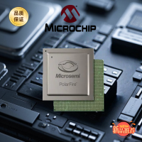 MICROCHIP微芯