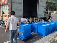 案例展示-3-