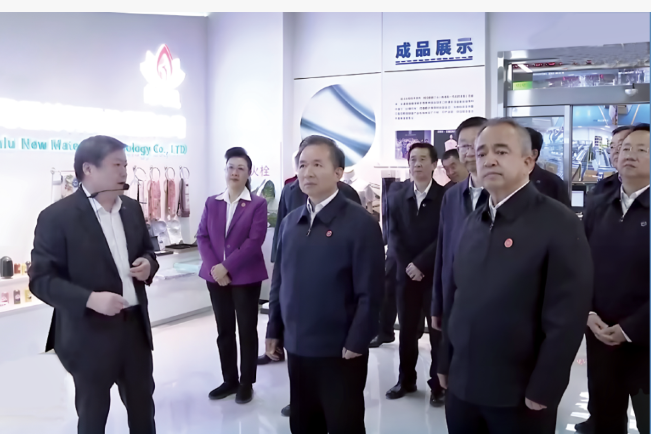 中共中央政治局委员、中央统战部部长李干杰到公司视察