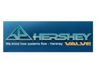 image-20250111090144-1