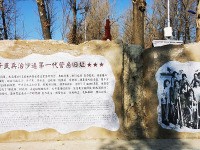 image-20250109104045-1