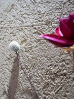 image-20250113141716-1