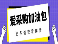 image-20250113095334-9