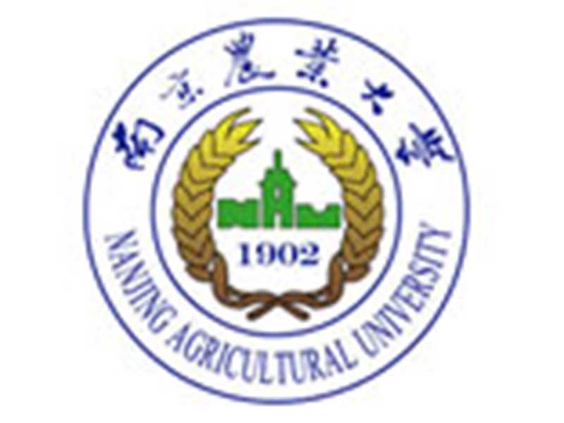 image-20250115142559-1