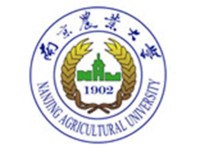 image-20250115142559-1