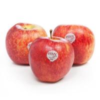 新西兰进口爱妃苹果
