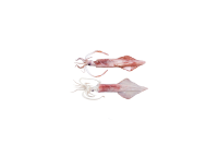 13-
