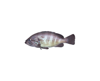 95-01