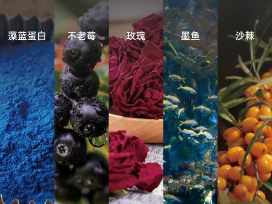 E:/新建文件夹/公司资料（若光媒体）/六篇文章/2.4.jpg2.4