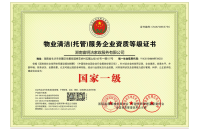 image-20250124103444-1