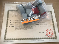 公司营业执照