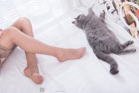 SSA第036期混血美女芷沫与猫的故事-A036-2