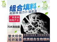 组合填料-1-