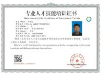 荣誉资质-1-