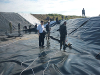 image-20250218220757-1