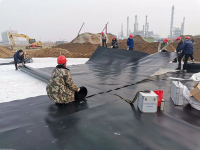 image-20250218220826-1