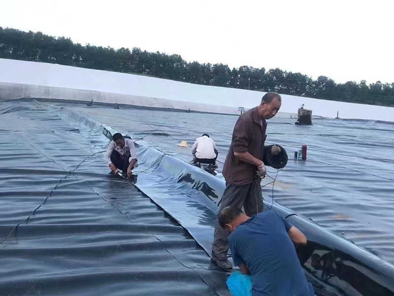 image-20250218220950-1