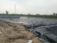 image-20250218221004-1