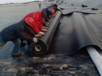 image-20250218221208-1