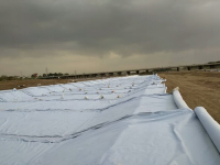 image-20250218221422-1