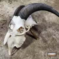 tree-of-life-on-goat-skull