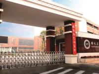 478207931_1331977803_1909209562