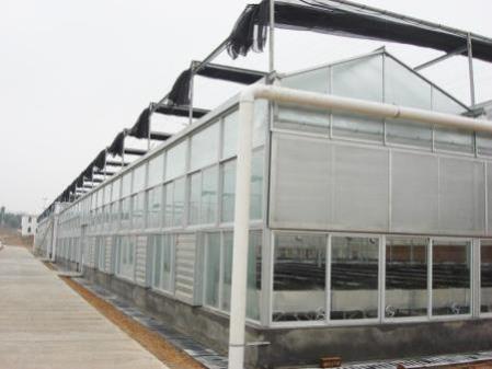 玻璃温室-2-