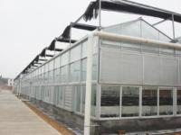 玻璃温室-2-