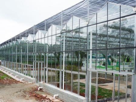 玻璃温室-7-