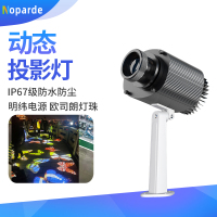 动态投影灯