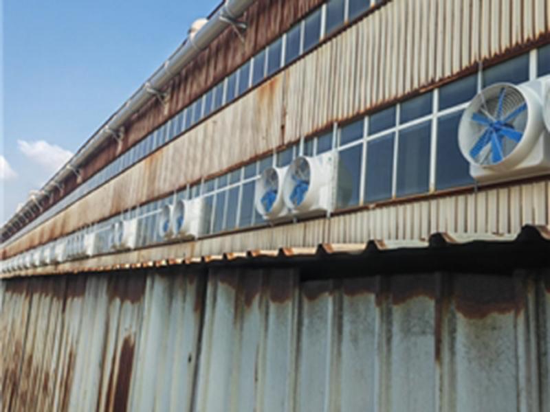 厂房通风降温案例-30-