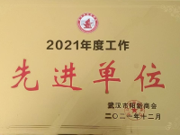 2021年度工作先进单位
