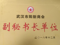 武汉市阳新商协会副秘书长单位