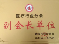 医疗行业分会副会长单位